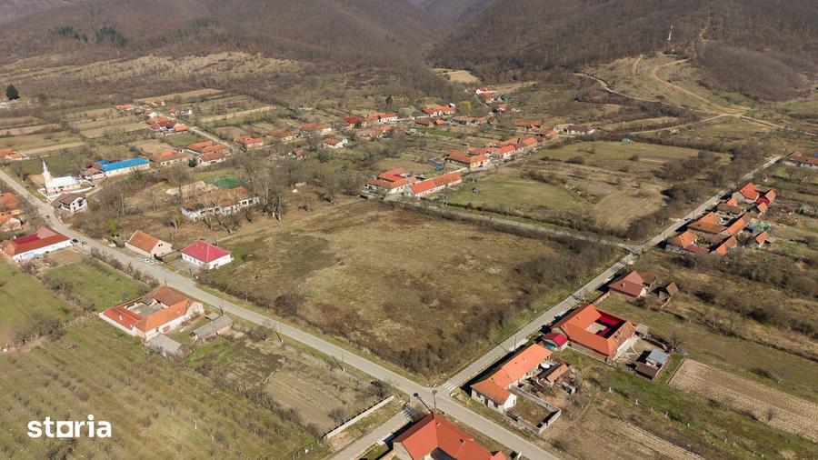 Casă cu 8 camere cu Teren 7235 Mp în Traian Vuia