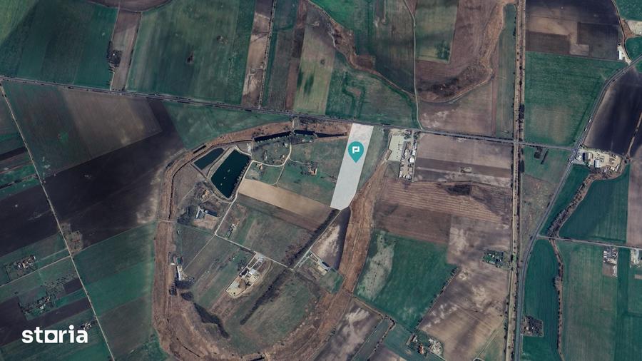 Teren de 50000 mp, în Sânnicolau Mic