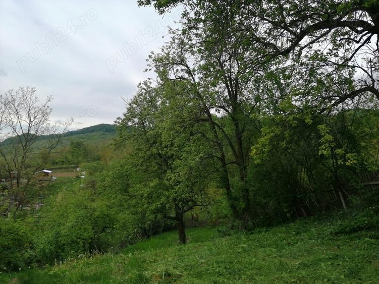 Teren de 714 mp, în Iedera