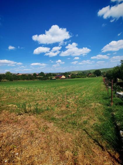 Teren de 7694 mp, în Tureni