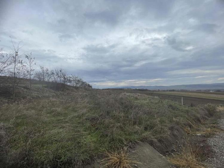 Teren de vanzare, 2900 mp, Cuzdrioara - 4