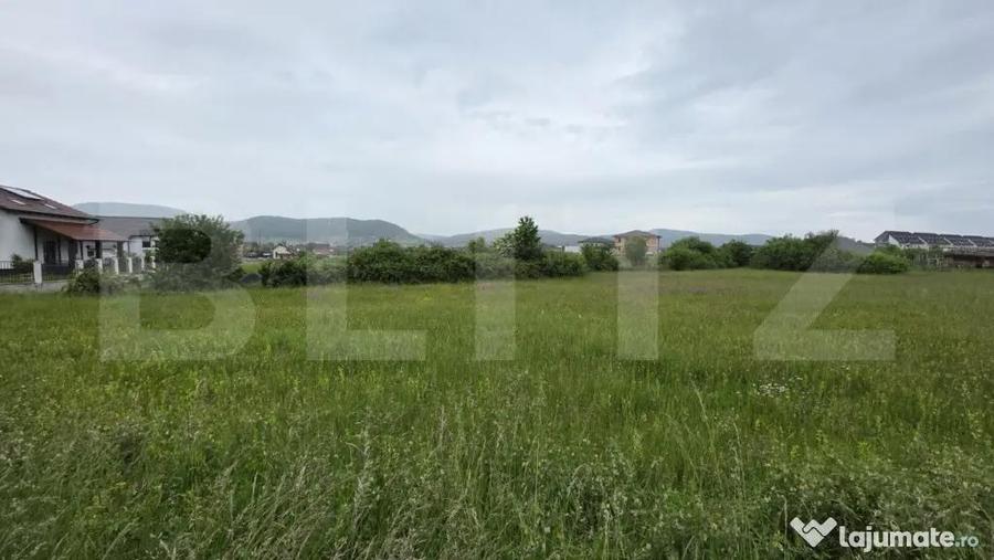 Teren intravilan, 48,3 ari zona Valea Rusului, - 4