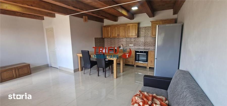 Casă cu 3 camere cu Teren 430 Mp în Tolstoi