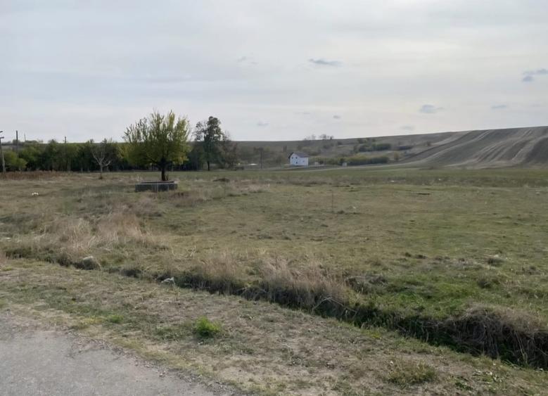 Teren agricol extravilan de 5000 mp, în Malu Mare