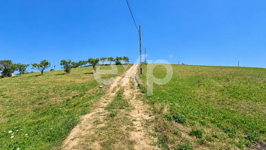 Teren agricol extravilan de 1061 mp, în Poiana Mărului