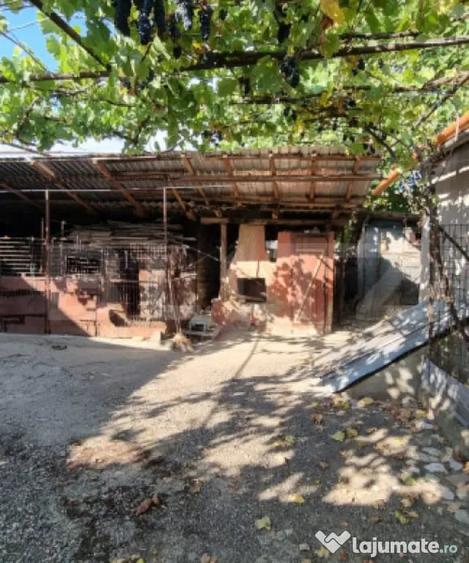 Casa cu 3 camere, anexe, curte ?i gradina - Boian (Cluj) - 9