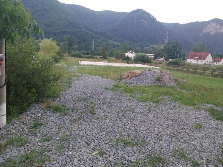 Teren Construcții de 3041 mp, în Lupșa