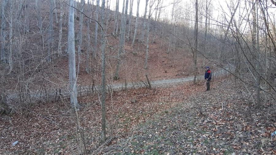 Teren de 4750 mp, în Provița de Sus