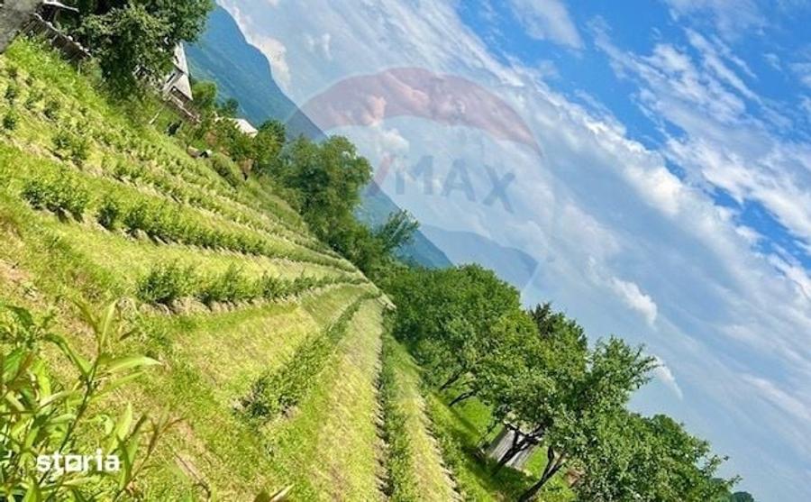 Teren de 6900 mp, în Ocna Șugatag