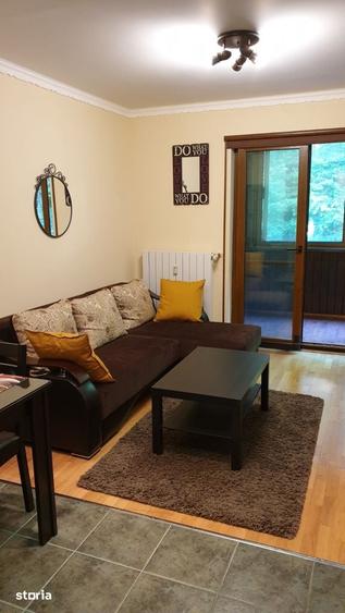Studio - Apartament Central Furnica - 4