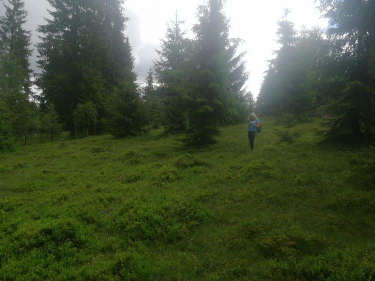 Teren Construcții de 1300 mp, în Beliș
