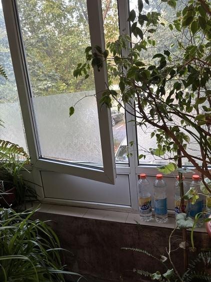 Apartament cu 3 camere decomandat în Exterior Vest