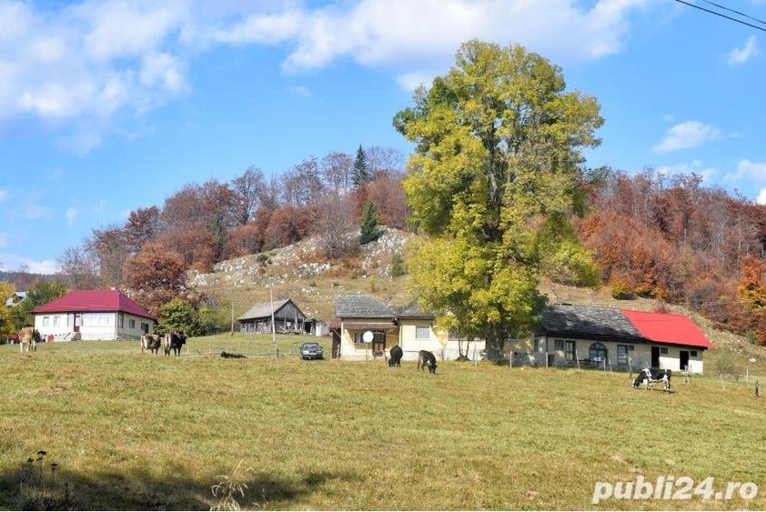 Teren de 15000000 mp, în Mara