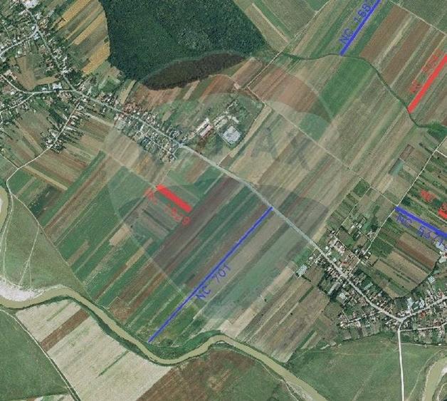Teren Construcții intravilan de 4955 mp, în Nuci