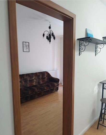 Apartament str Porii langa Profi/Annabella - 7