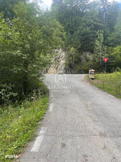 Teren Investi?ie Turistica Dambovicioara Baranga | 4.500 mp - 5