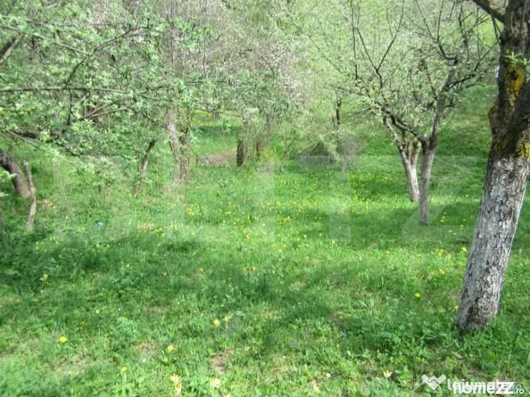 Teren în Central