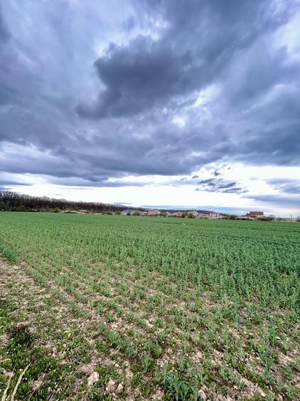Teren agricol extravilan de 4000 mp, în Aeroport