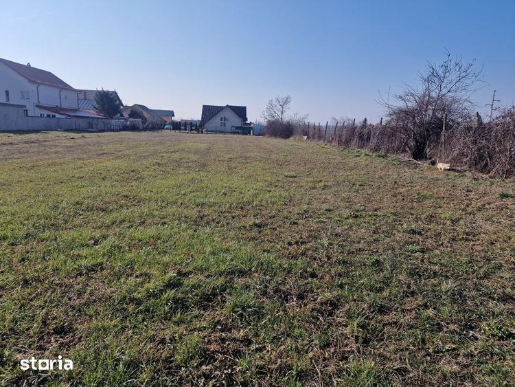 Teren de 2000 mp, în Mărăcineni
