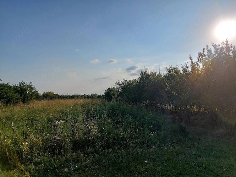 Casă în Alioș
