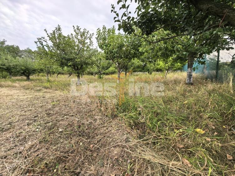 Teren Construcții intravilan de 3000 mp, în Chicerea