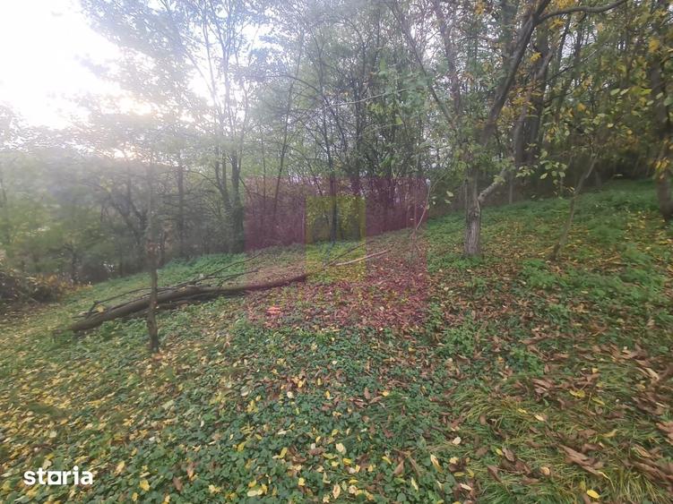 Casă cu 3 camere cu Teren 3410 Mp în Aluniș