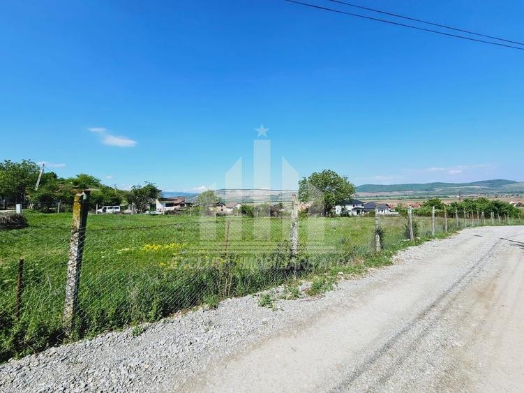 Teren Construcții intravilan de 3000 mp, în Micești