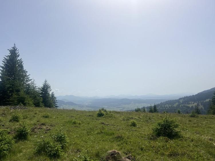 Spațiu comercial, în Dorna Candrenilor