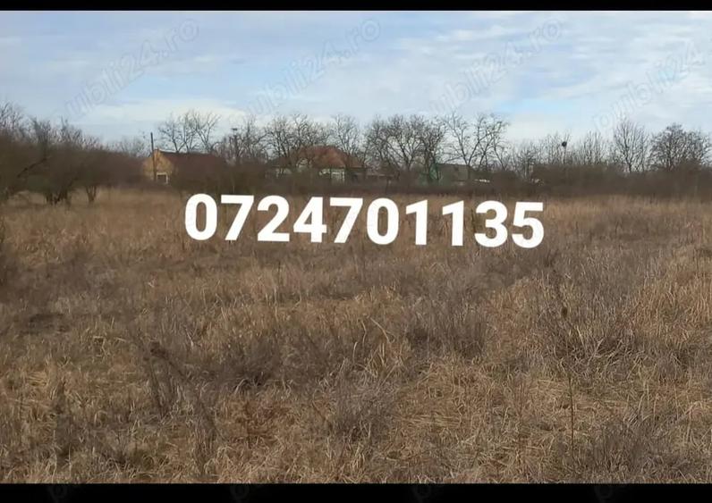 Teren de 2878 mp, în Icloda