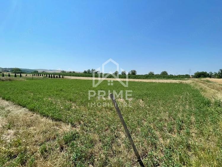 Teren de 1165 mp, în Oarda