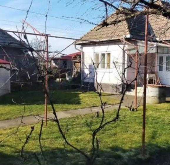 Casă cu 3 camere în Criș
