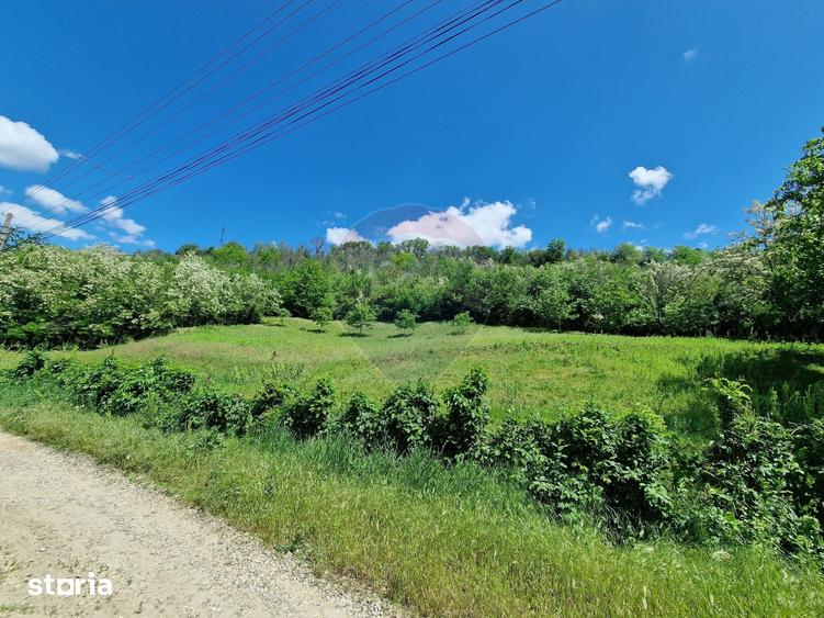 Teren de 2853 mp, în Urechești