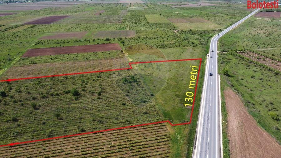 Teren agricol extravilan de 33000 mp, în Bolotești
