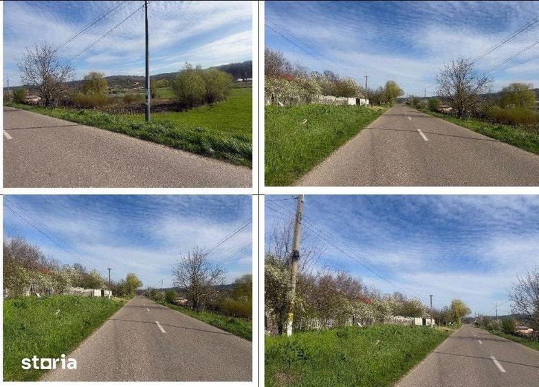 Casă cu 3 camere cu Teren 3633 Mp în Delești