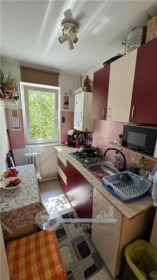 Apartament cu 2 camere decomandat, mobilat în Alexandru cel Bun