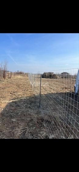 Teren intravilan Ciolpani/Izvorani