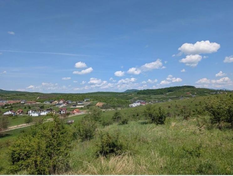 Teren Construcții extravilan de 1005 mp, în Sud-Vest