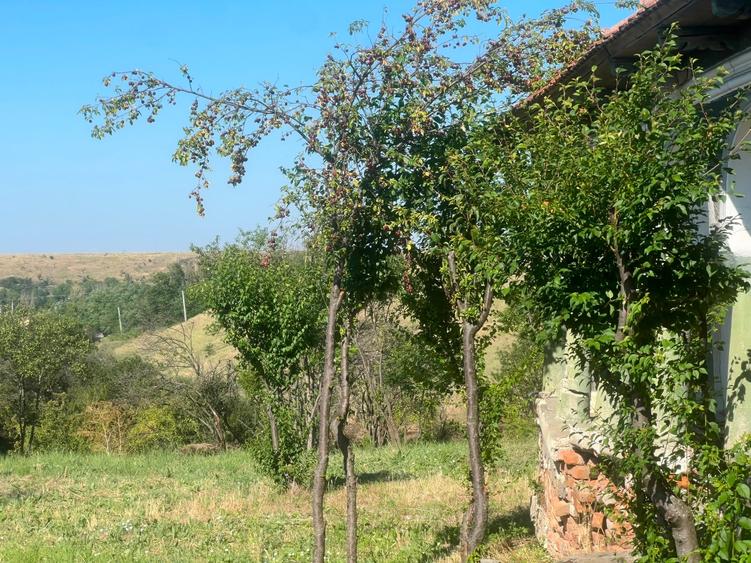 Teren Construcții intravilan de 1486 mp, în Valea Mare