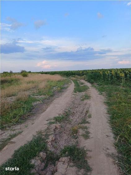 Teren de 11700 mp, în Balotești