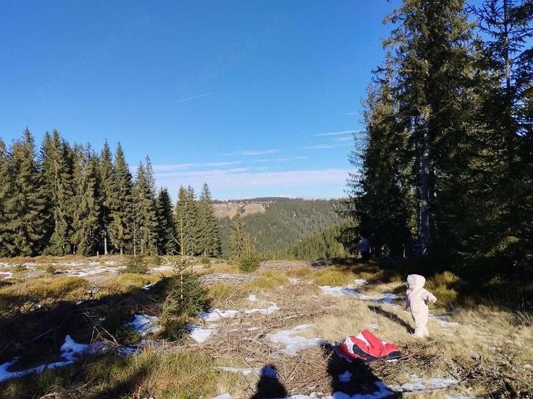 Teren de 500 mp, în Măguri