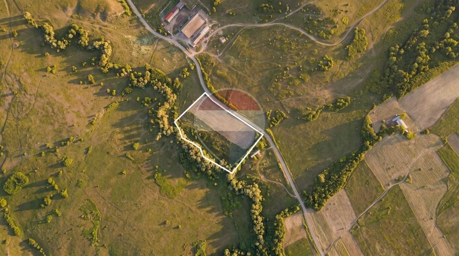 Teren agricol extravilan de 25700 mp, în Jibert
