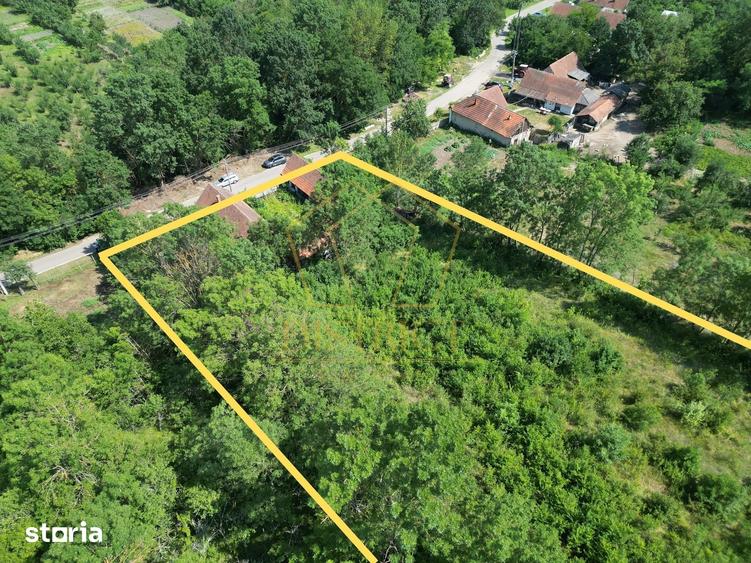Teren de 3727 mp, în Topolovățu Mare