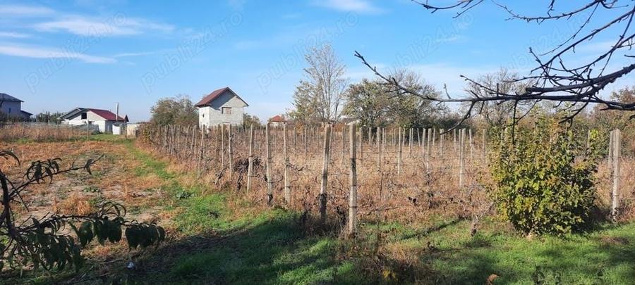 Teren de 1500 mp, în Vânători