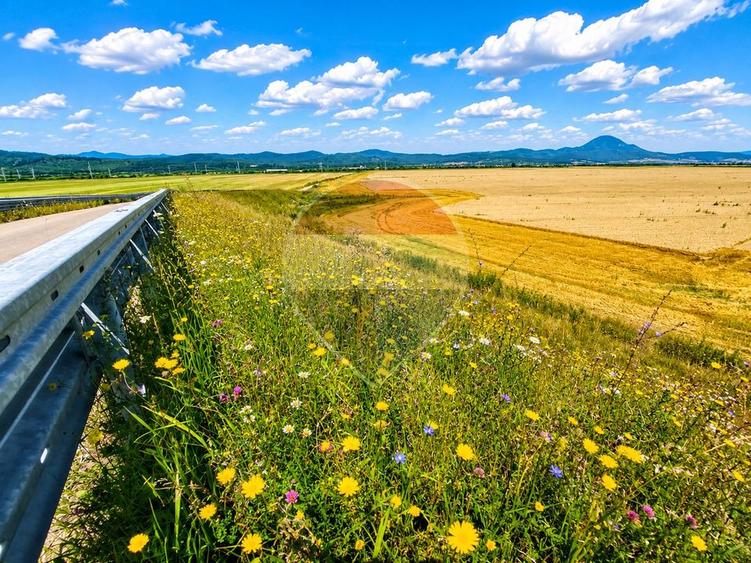 Teren agricol extravilan de 17000 mp, în ISR