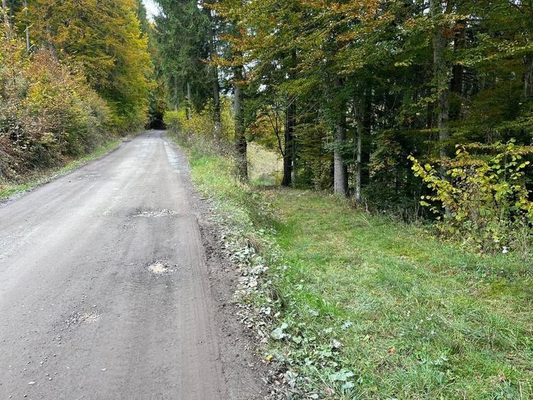 Teren de vanzare in Varsag - 1