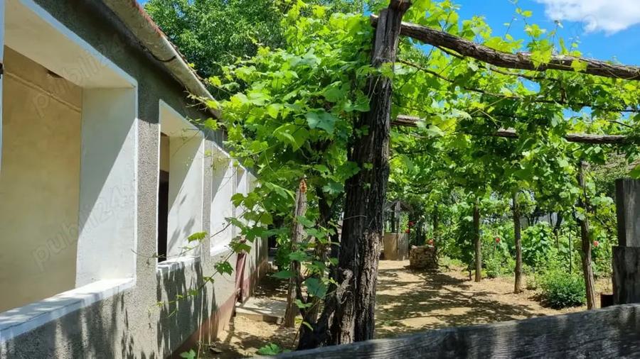 Casă cu 2 camere în Voivozi (Șimian)