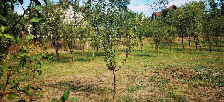 Teren Construcții intravilan de 1400 mp, în Est
