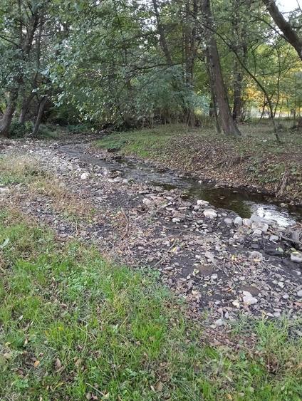 Casă cu Teren 1500 Mp în Romos