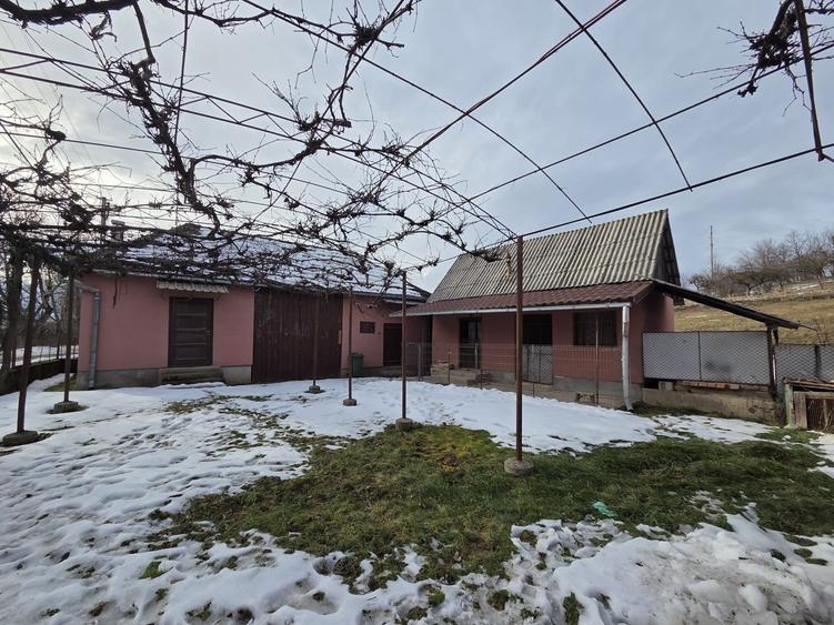 Casă cu 4 camere în Valea Crișului