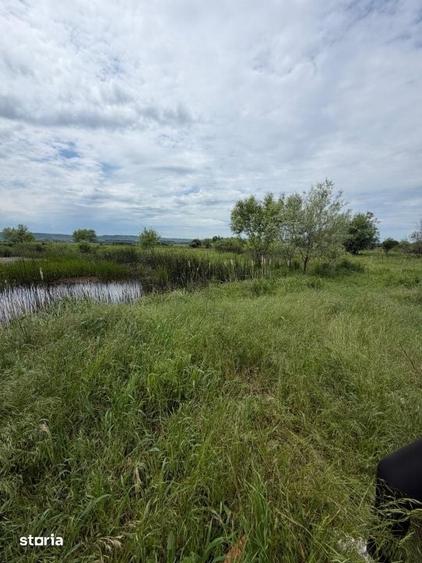 Teren de 6000 mp, în Brazda lui Novac